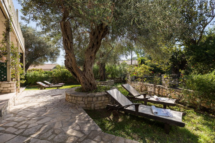 Photograph of the tranquil garden of Villa Anthoussa-apartments